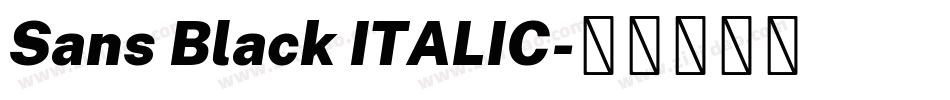 Sans Black ITALIC字体转换